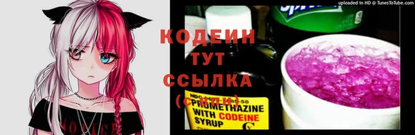 мет Каменка
